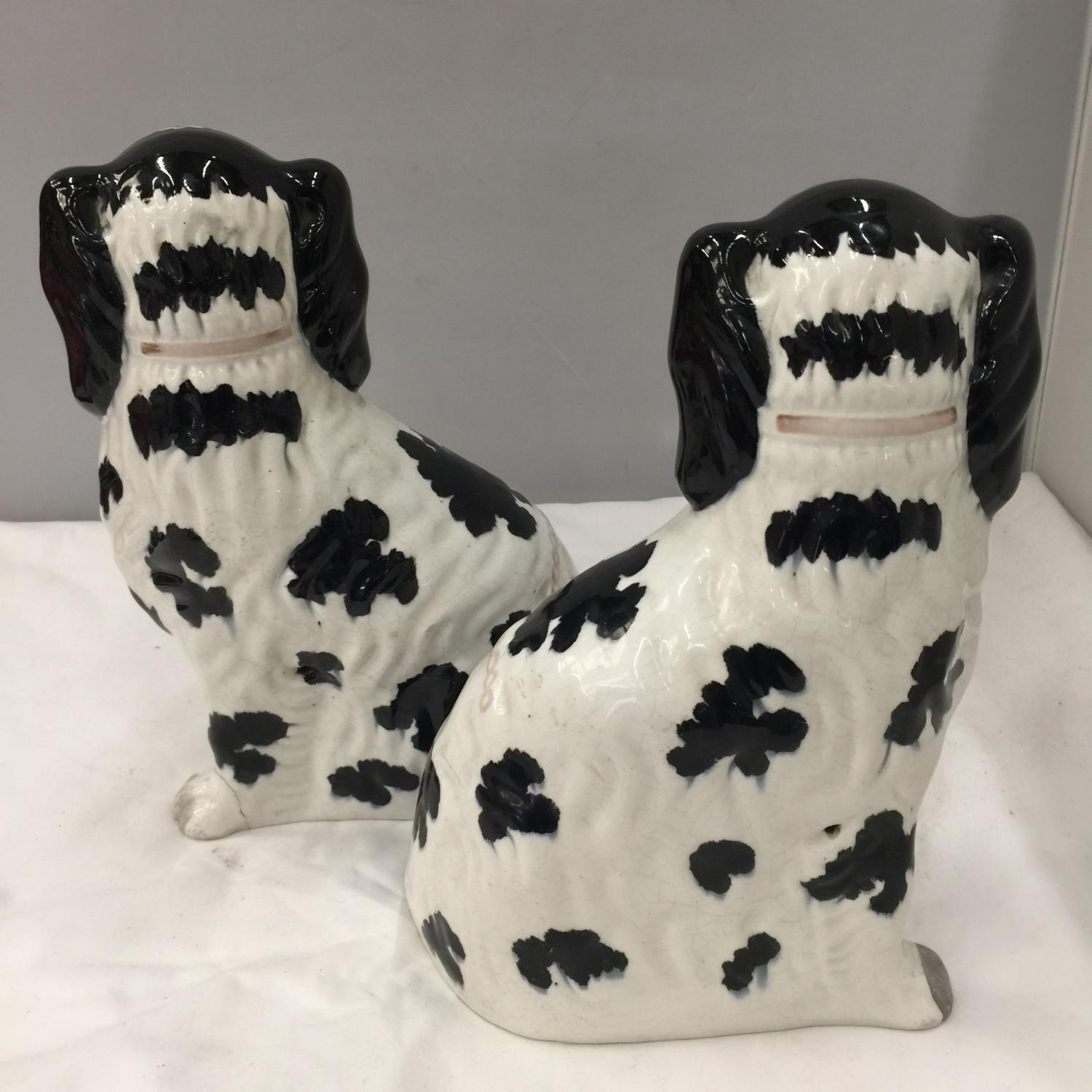A PAIR OF STAFFORDSHIRE BLACK AND WHITE SPANIELS HEIGHT APPROX 26CM - A/F - Image 3 of 3