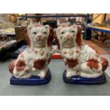 A PAIR OF STAFFORDSHIRE SPANIELS HEIGHT 22CM