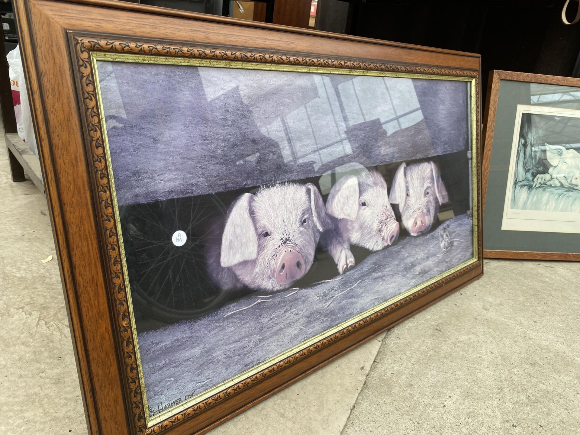 TWO FRAMED PIG PRINTS - Image 2 of 3