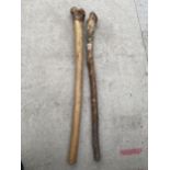 A PAIR OF KNOBBLY WOODEN WALKING STICKS