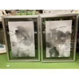 TWO LARGE PIECES OF FRAMED WALL ART 57CM X 77CM