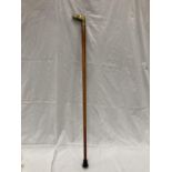 A WOODEN WALKING CANE WITH A BRASS DOGS HEAD HANDLE