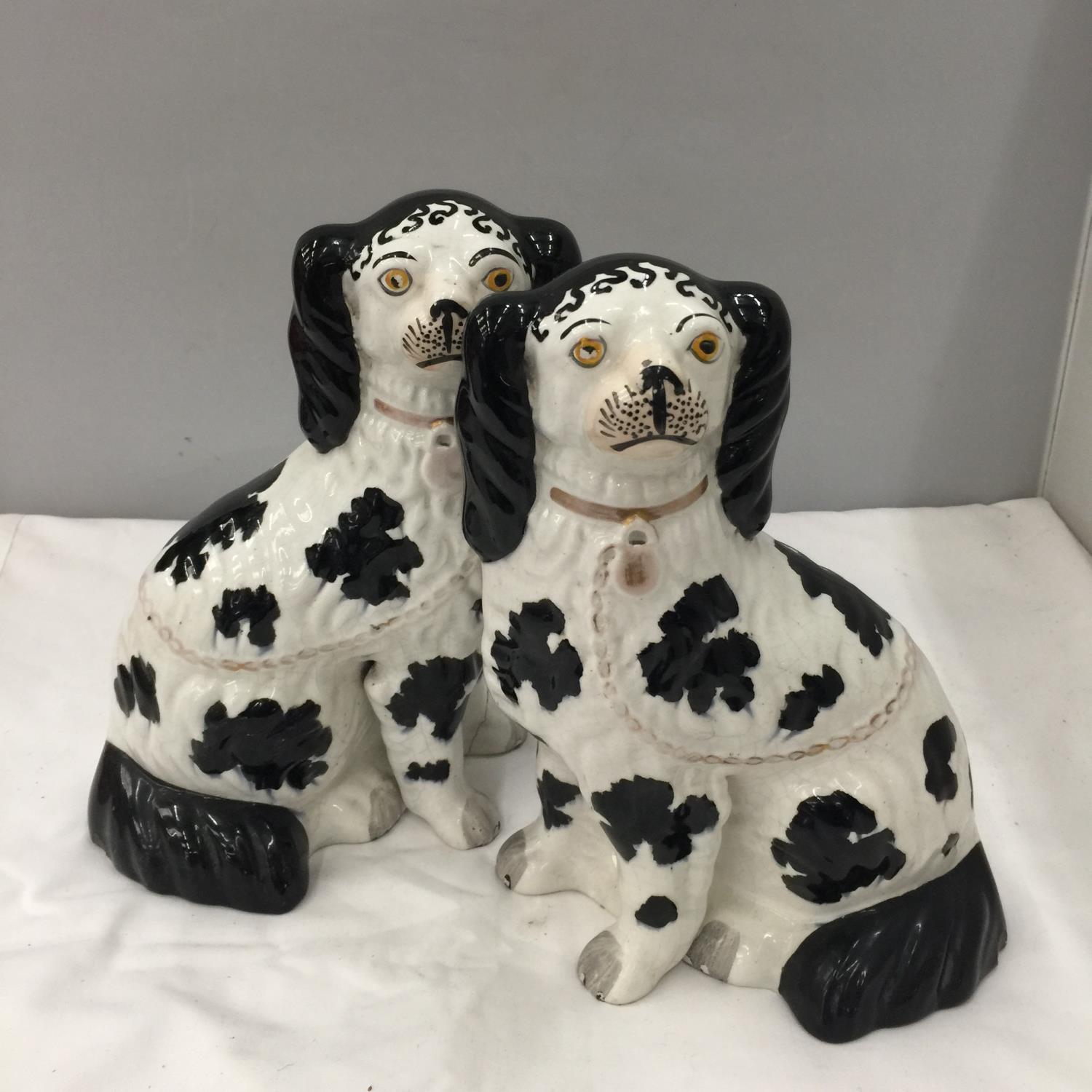A PAIR OF STAFFORDSHIRE BLACK AND WHITE SPANIELS HEIGHT APPROX 26CM - A/F