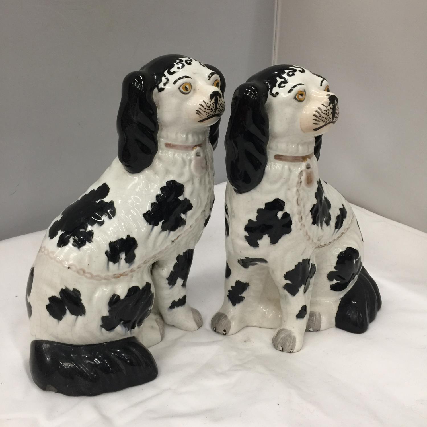 A PAIR OF STAFFORDSHIRE BLACK AND WHITE SPANIELS HEIGHT APPROX 26CM - A/F - Image 2 of 3