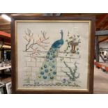 A LARGE FRAMED NEEDLEWORK OF A PEACOCK 60CM X 64CM