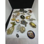 A LARGE QUANTITY OF COSTUME JEWELLERY BROOCHES