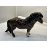 A ROYAL DOULTON BAY GLOSS SHETLAND PONY