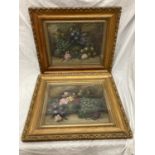 TWO OIL ON BOARD STILL LIFE PAINTINGS OF FLOWERS AND FRUIT, SIGNED BY EVELYN CHESTER (1875 -