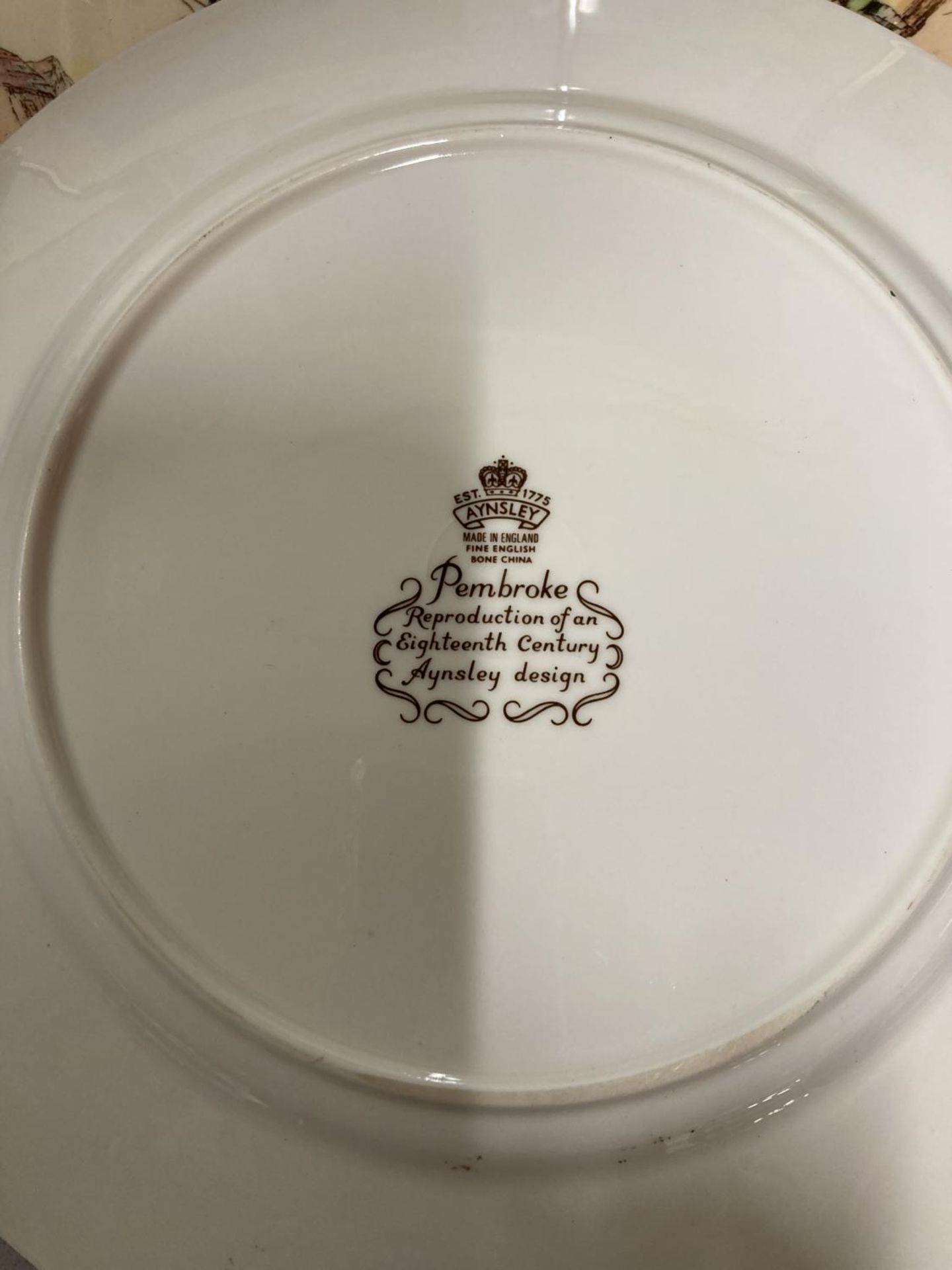 A COLLECTION OF LARGE PLATES TO INCLUDE ROYAL DOULTON, AYNSLEY 'PEMBROKE', CABINET PLATES, ETC - Image 3 of 9