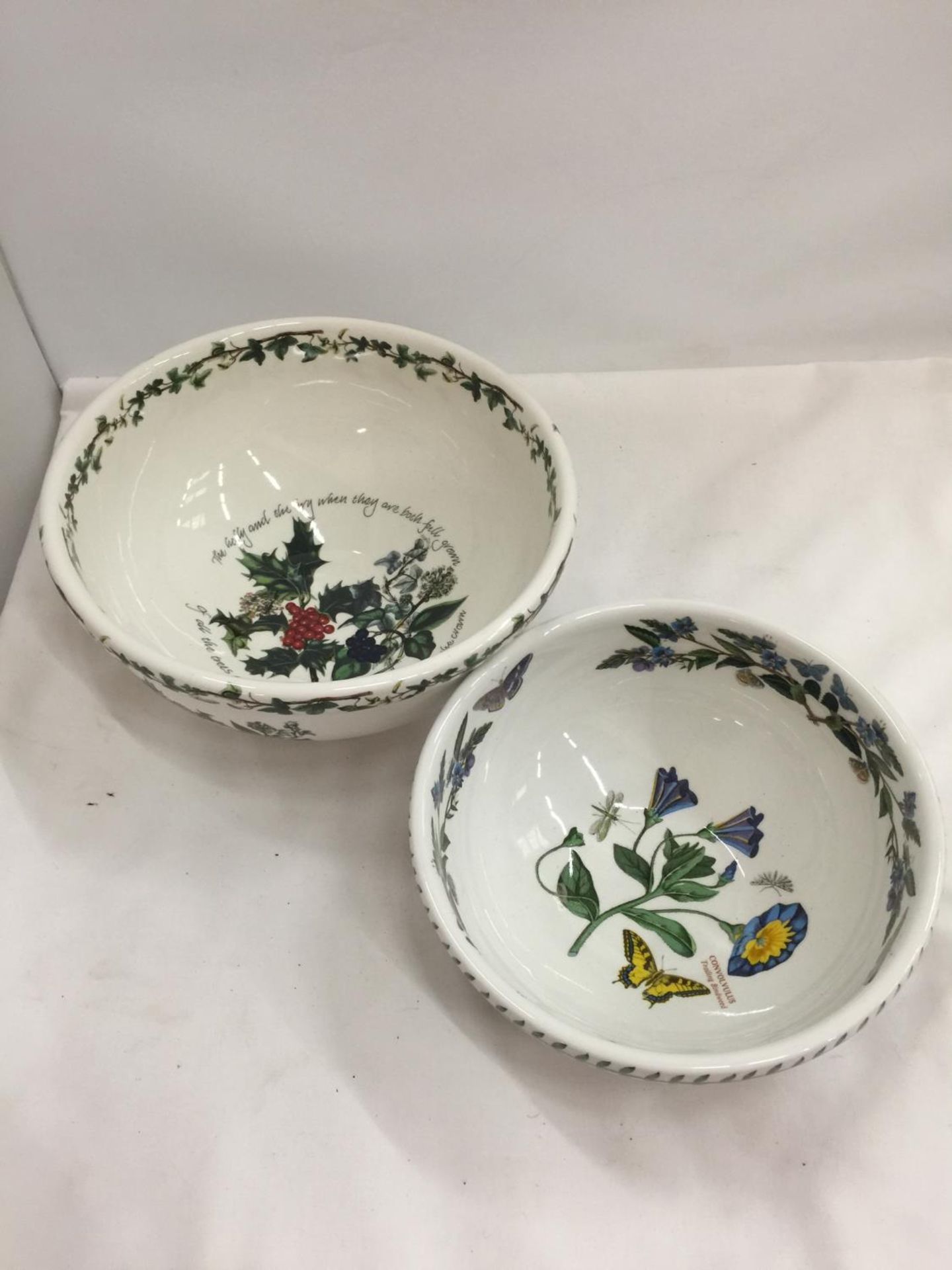 TWO PORTMERION BOWLS, ONE BEING CHRISTMAS 'THE HOLLY AND THE IVY' DIAMETER 23.5CM, THE OTHER - Image 2 of 3