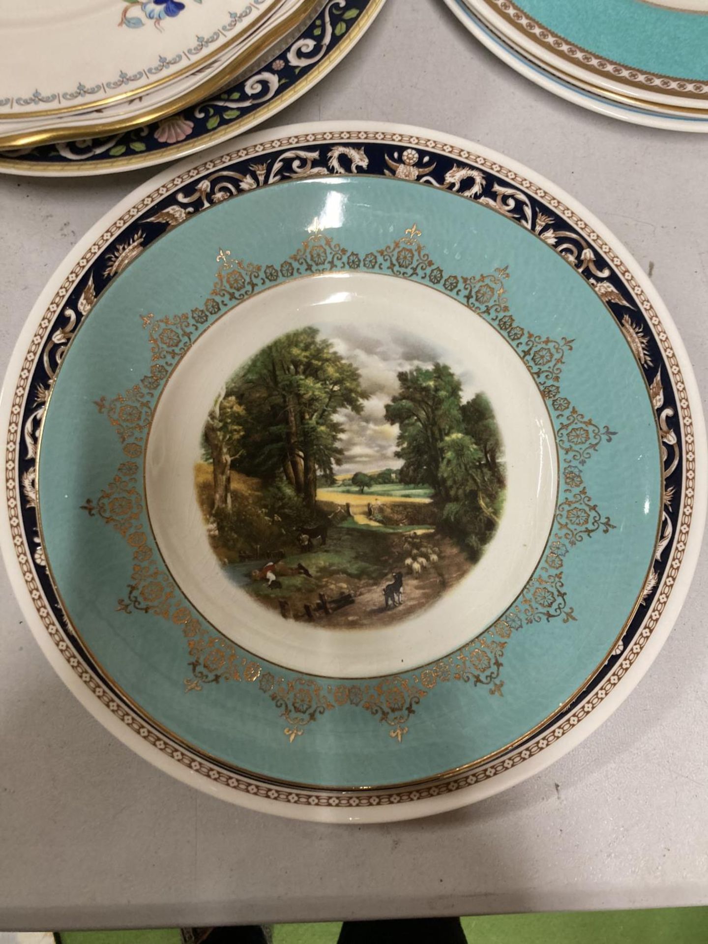 A COLLECTION OF LARGE PLATES TO INCLUDE ROYAL DOULTON, AYNSLEY 'PEMBROKE', CABINET PLATES, ETC - Image 7 of 9