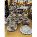 A QUANTITY OF BONE CHINA 'ROSE' PATTERNED TRIOS PLUS A COALPORT 'JUNETIME' CUP AND SAUCER AND A