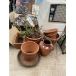 AN ASSORTMENT OF TERRACOTTA PLANTERS TO ALSO INCLUDE A TERRACOTTA JUG