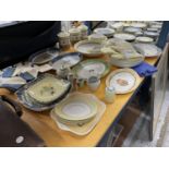 A LARGE QUANTITY OF ROYAL DOULTON 'CARMINA' CHINA TO INCLUDE SERVING PLATES, STORAGE JARS, CRUET