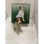 A 'BEST OF BREED' RESIN FIGURE OF A JACK RUSSELL DOG HEIGHT 26CM