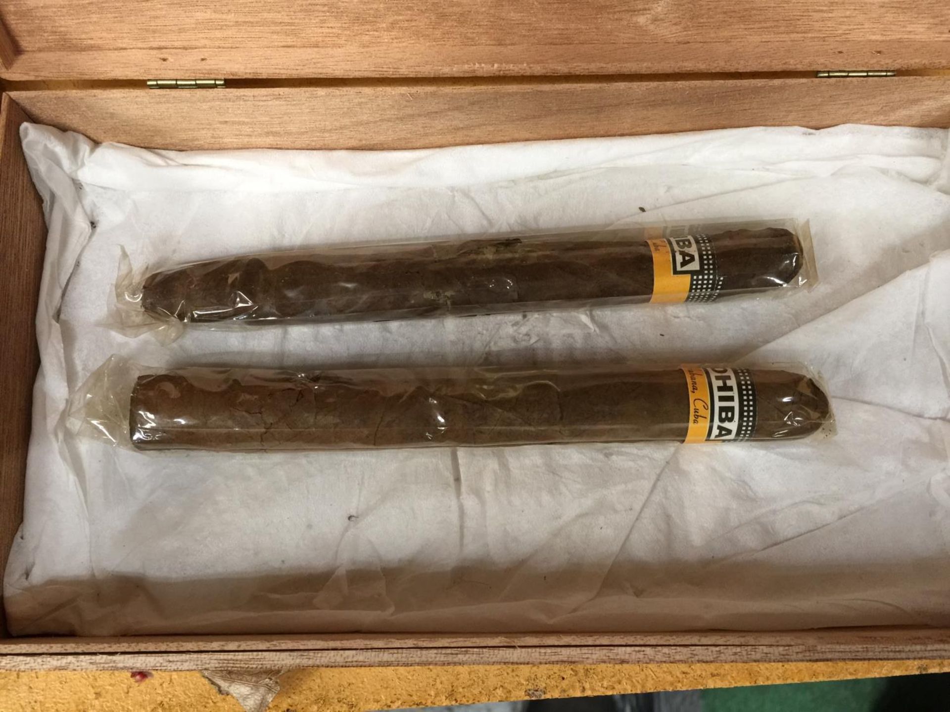 THIRTEEN TITAN PHILLIES CIGARS IN A BOX AND TWO COHIBA IN A CHURCHILL BOX - Image 3 of 6