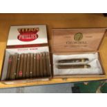 THIRTEEN TITAN PHILLIES CIGARS IN A BOX AND TWO COHIBA IN A CHURCHILL BOX