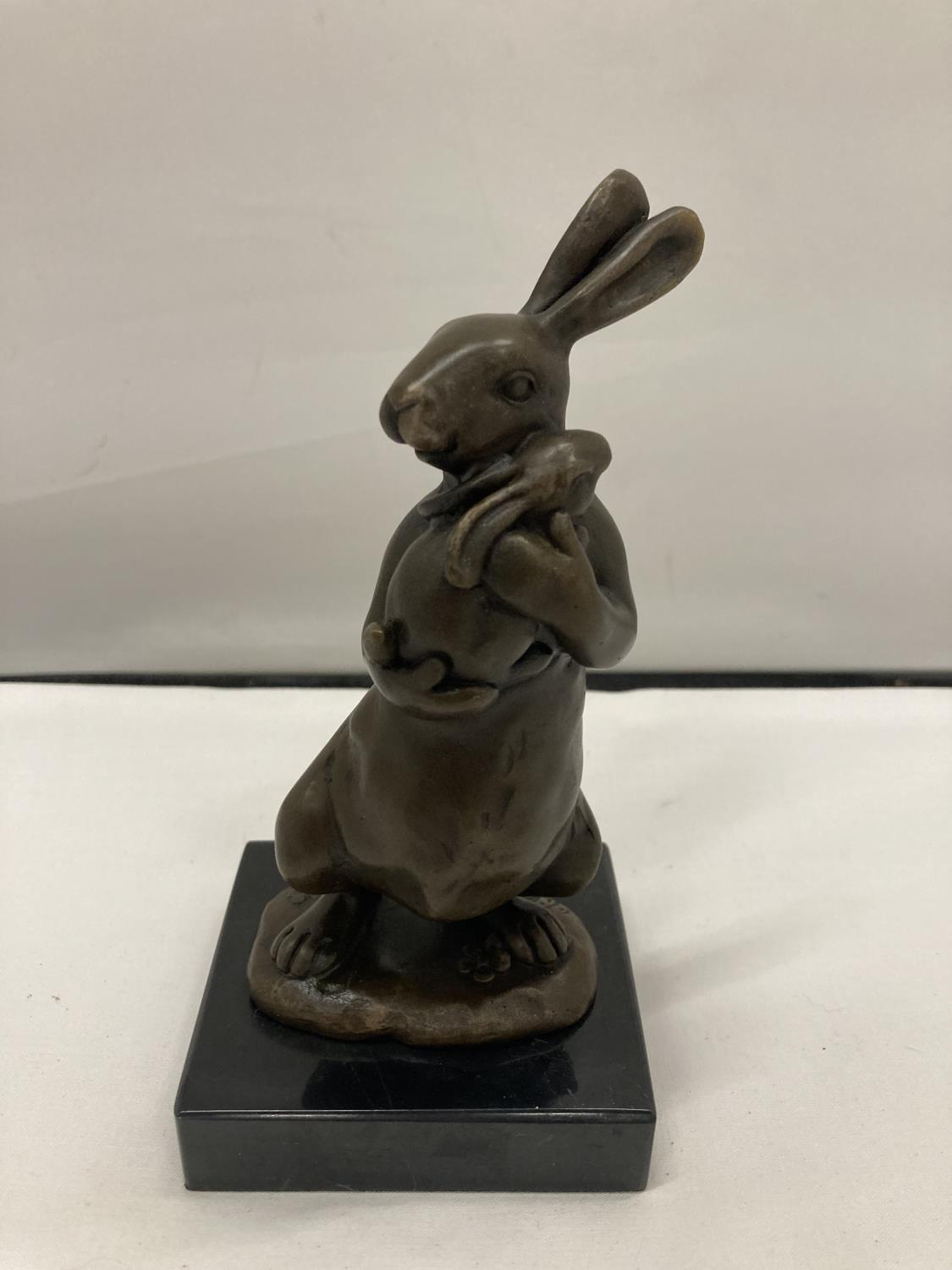 A SIGNED BRONZE RABBIT HOLDING HER BABY ON A MARBLE BASE - Image 2 of 10