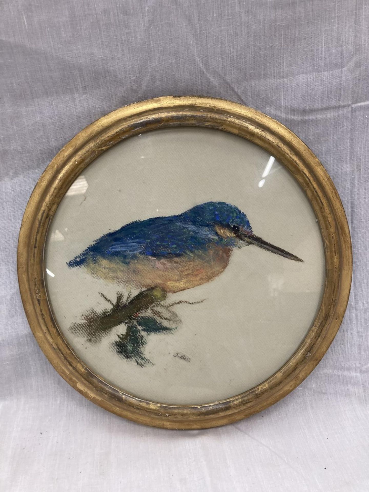 A J BELL PASTEL ON BOARD OF A KINGFISHER SIGNED IN A CIRCULAR GILT FRAME 31CM DIAMETER