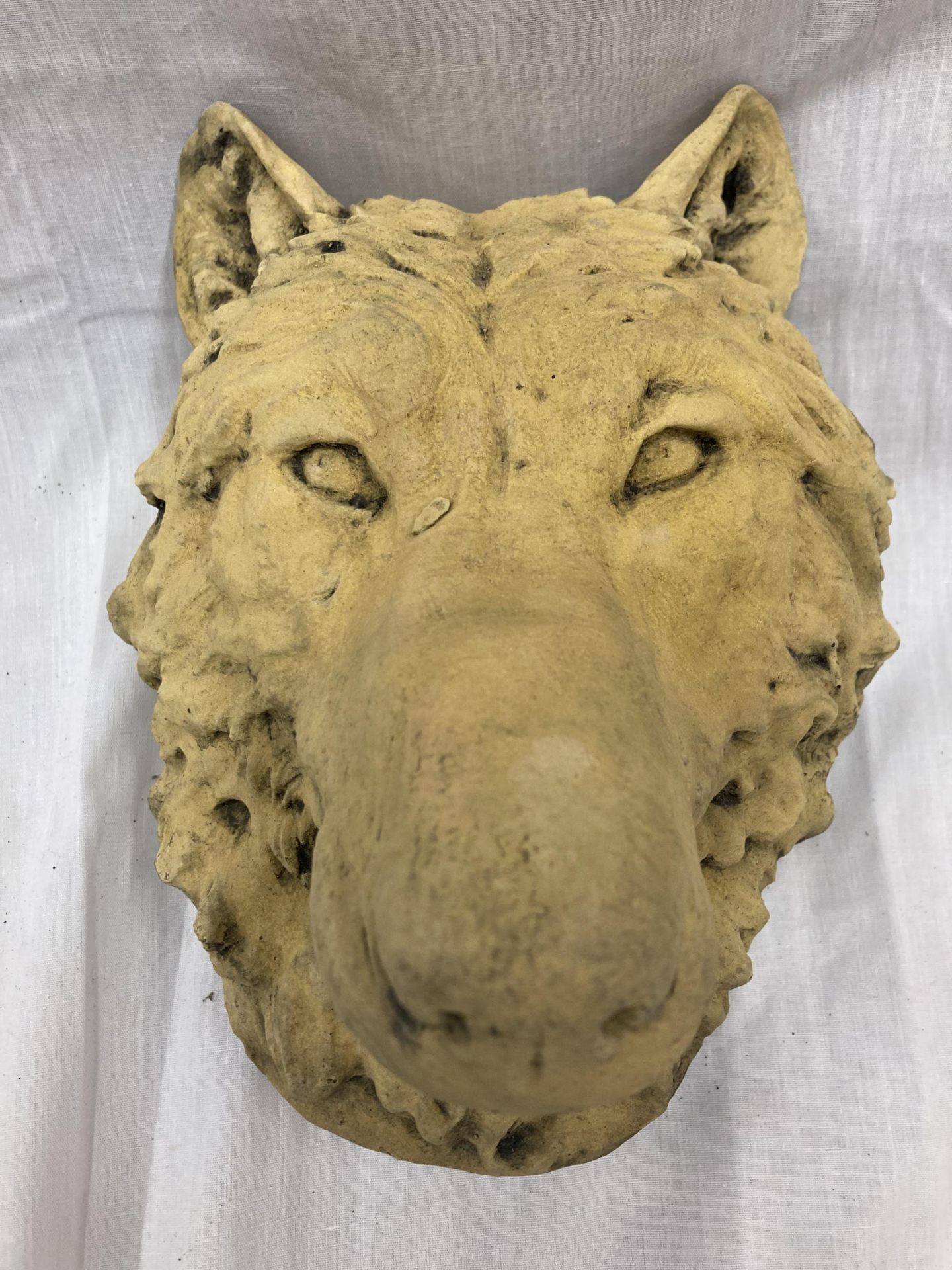 A STONE BUST OF A WOLF HEAD