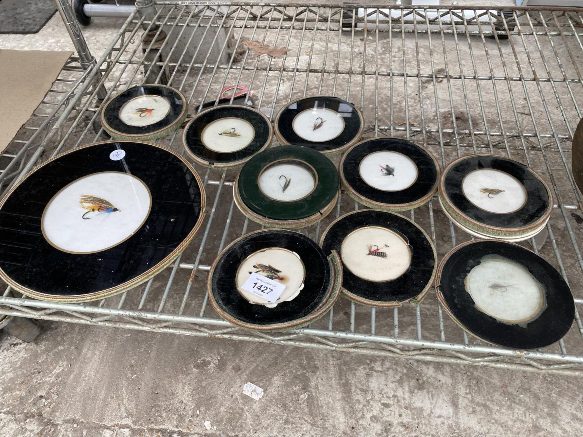 A COLLECTION OF GLASS COASTERS WITH FISHING FLIES INSIDE