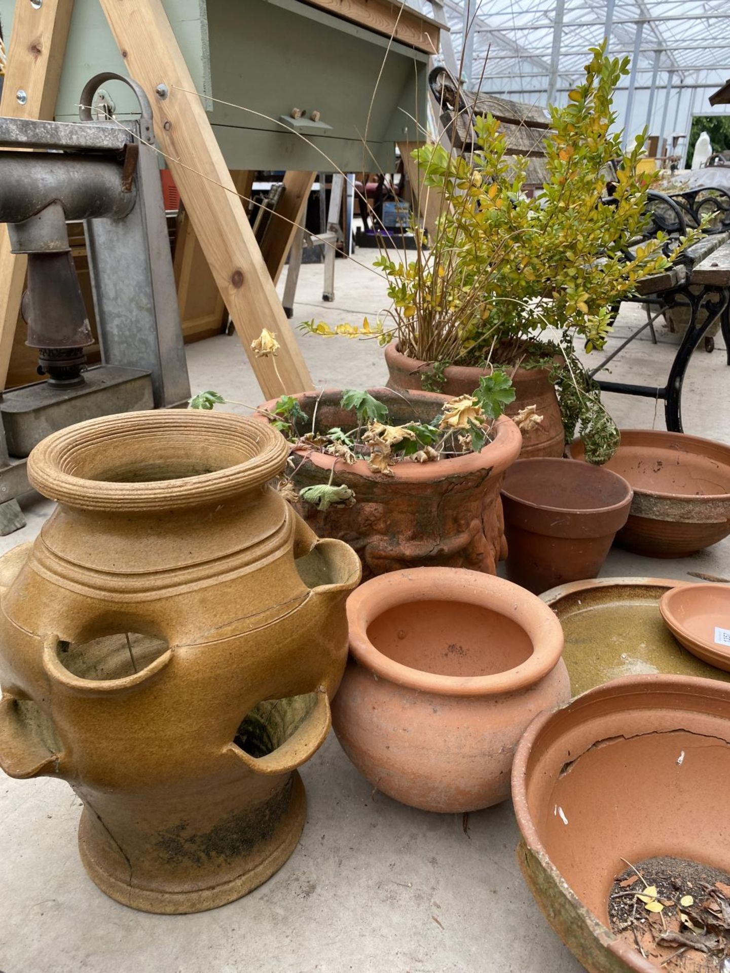 AN ASSORTMENT OF TERRACOTTA GARDEN PLANTERS - Image 2 of 4