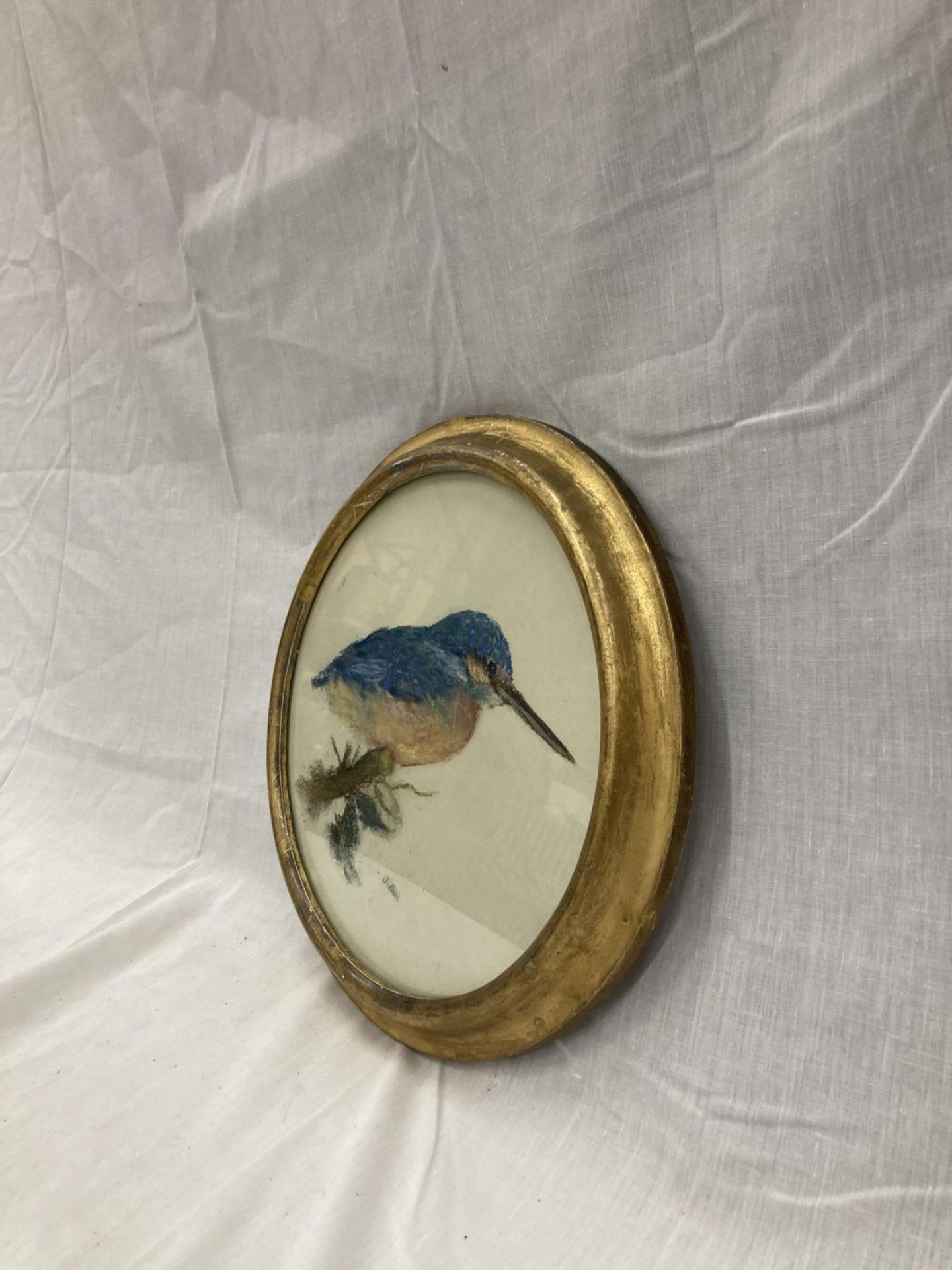 A J BELL PASTEL ON BOARD OF A KINGFISHER SIGNED IN A CIRCULAR GILT FRAME 31CM DIAMETER - Image 3 of 3