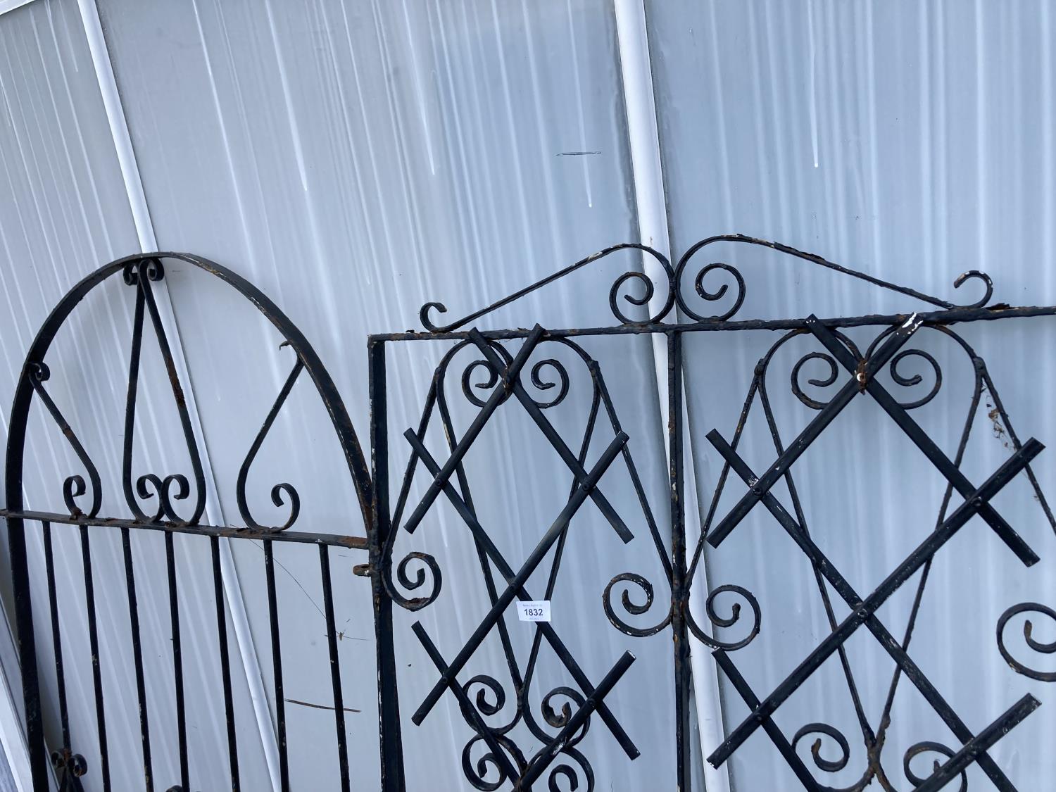 TWO WROUGHT IRON GARDEN GATES, H:188CM W:84CM, H:186CM W:72CM - Image 2 of 4