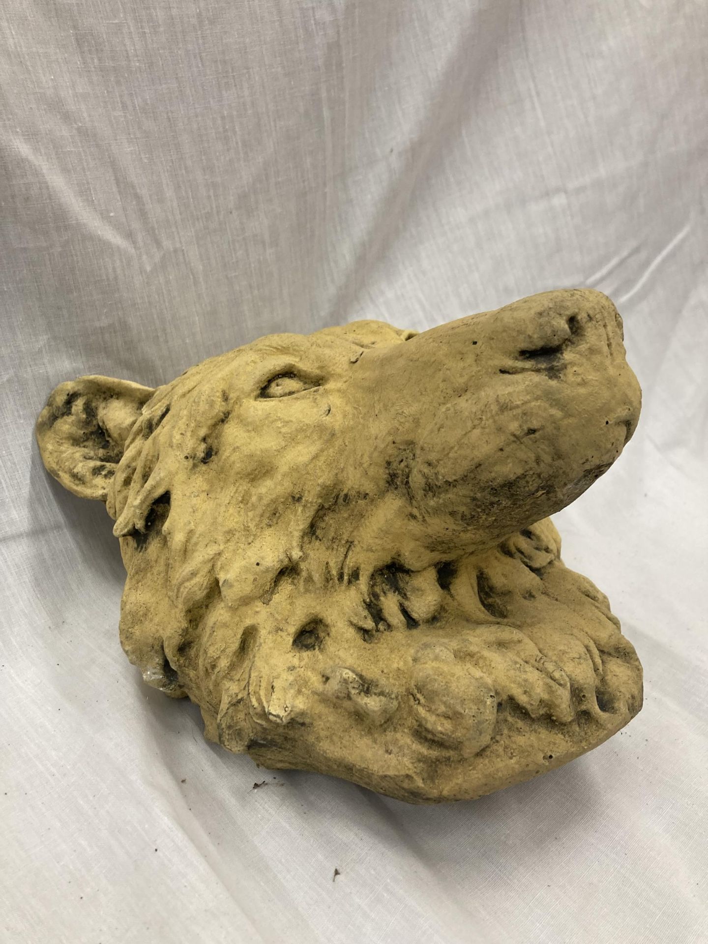 A STONE BUST OF A WOLF HEAD - Bild 2 aus 4