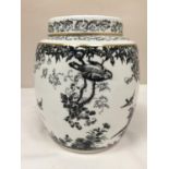 A ROYAL CROWN DERBY 'BLACK AVES' GINGER JAR HEIGHT APPROX 18.5CM