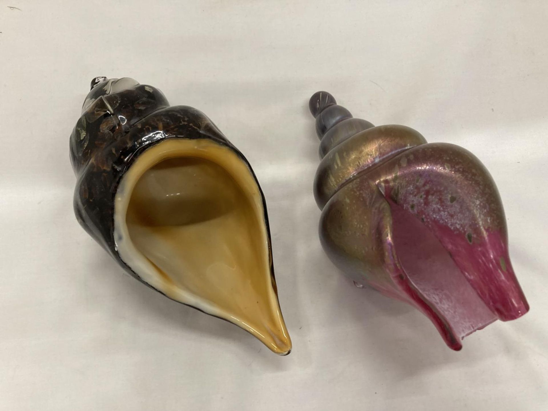 TWO GLASS SEASHELLS, ONE IRRIDESENT PINK, THE OTHER A TORTOISHELL DESIGN - Image 9 of 12