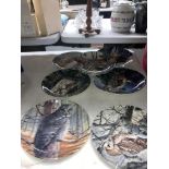 A COLLECTION OF OWL PLATES BY DANBURY MINT NAMED THE "THE MAJESTY OF OWLS" TO INCLUDE LITTLE OWL,