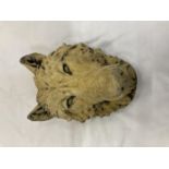 A STONE 'WOLF'S HEAD' WALL HANGING HEIGHT 29CM