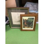 A FRAMED PRINT OF A PRIZE WINNING HEN PLUS A FRAMED PRINT OF A PHEASANT