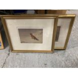 TWO GILT FRAMED PRINTS, ONE OF A FOX IN SNOW, THE OTHER A RABBIT 50CM X 41.5CM