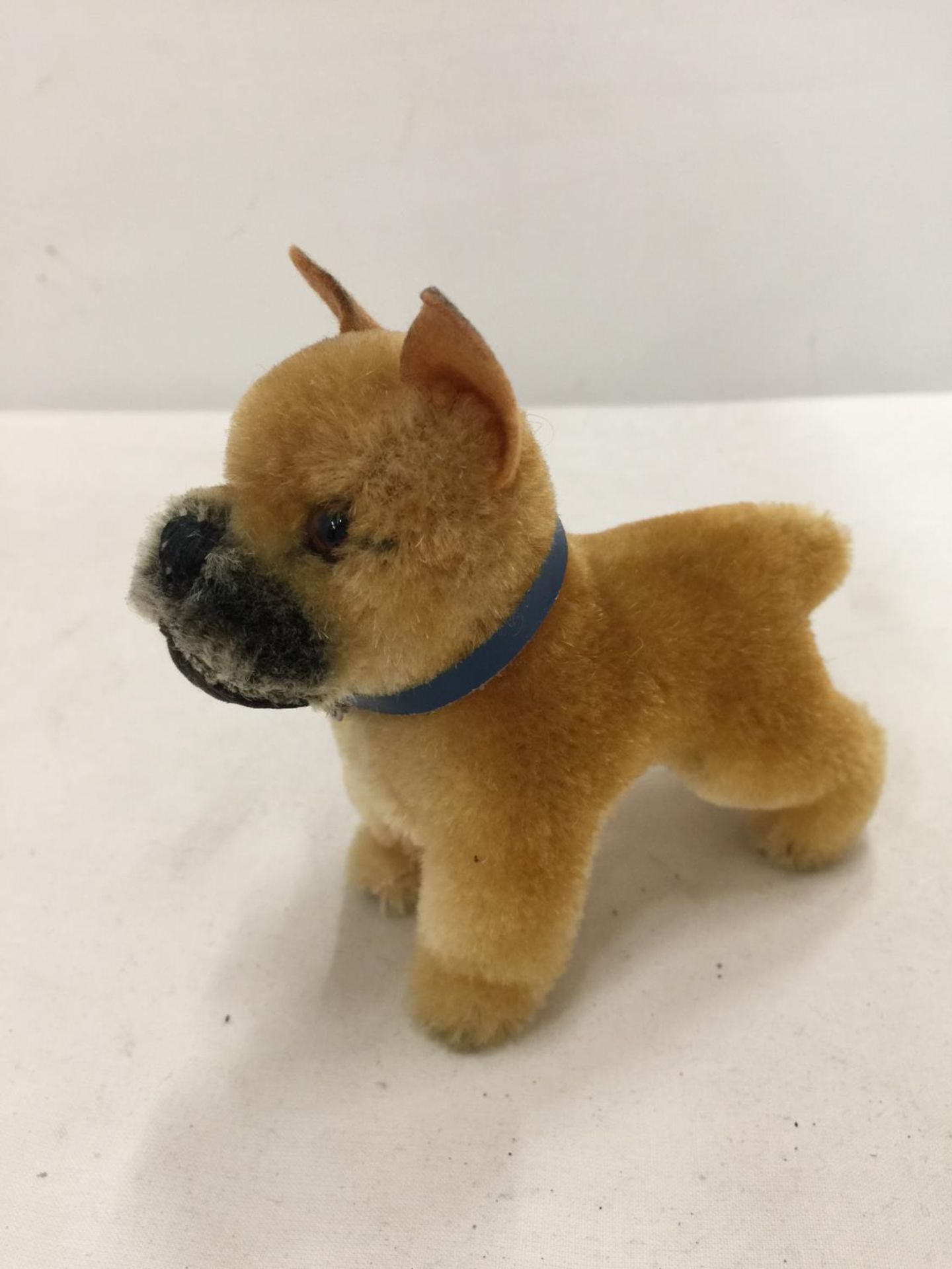 A BELEIVED TO BE STEIFF BULLDOG HEIGHT 11CM - NO BUTTON IN EAR