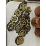 A QUANTITY OF HORSE BRASSES ON LEATHER STRAPS PLUS BRASS WEIGHTS