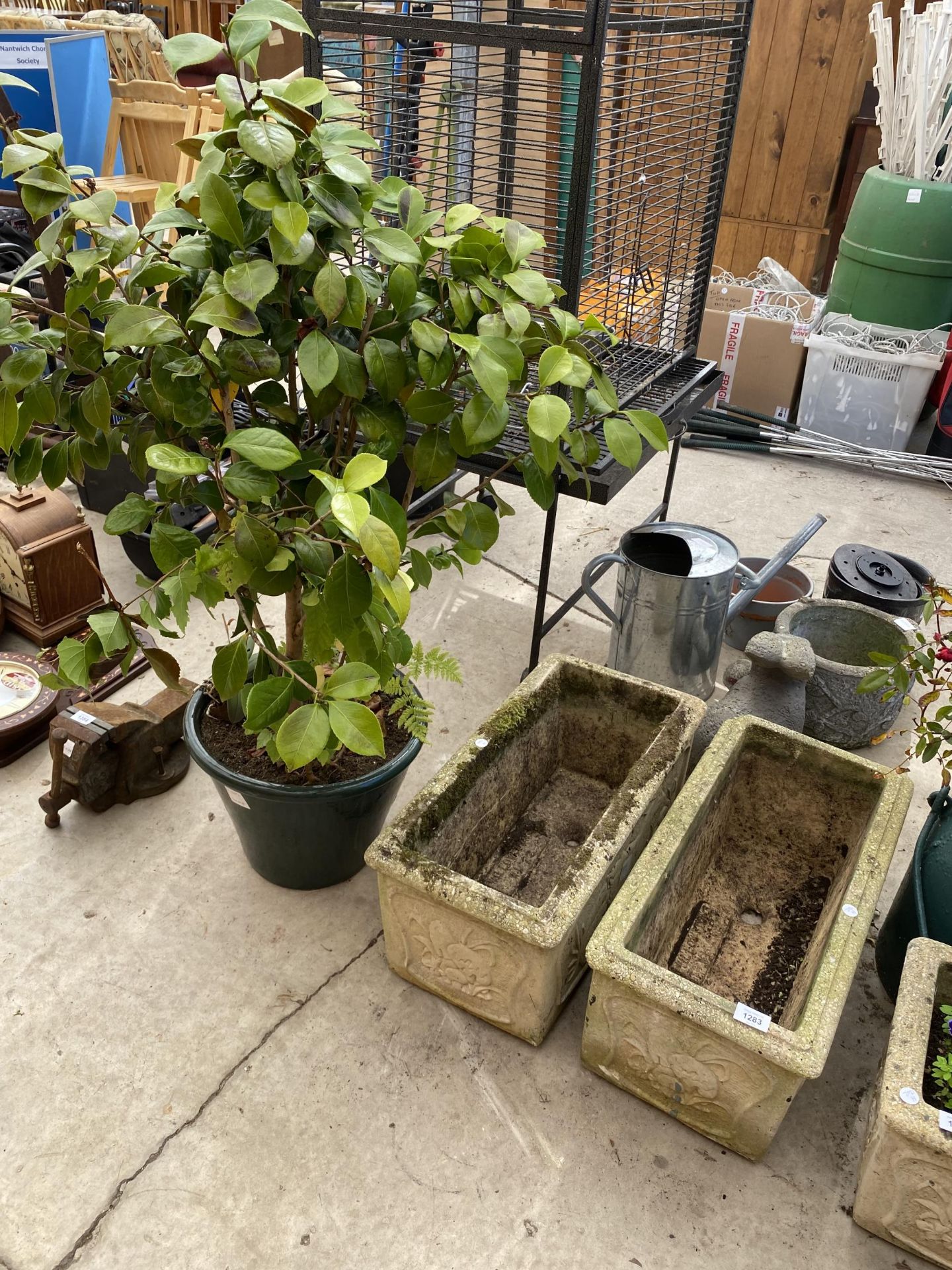 A NEAR PAIR OF RECONSTITUTED STONE PLANTERS AND A GLAZED PLANT POT