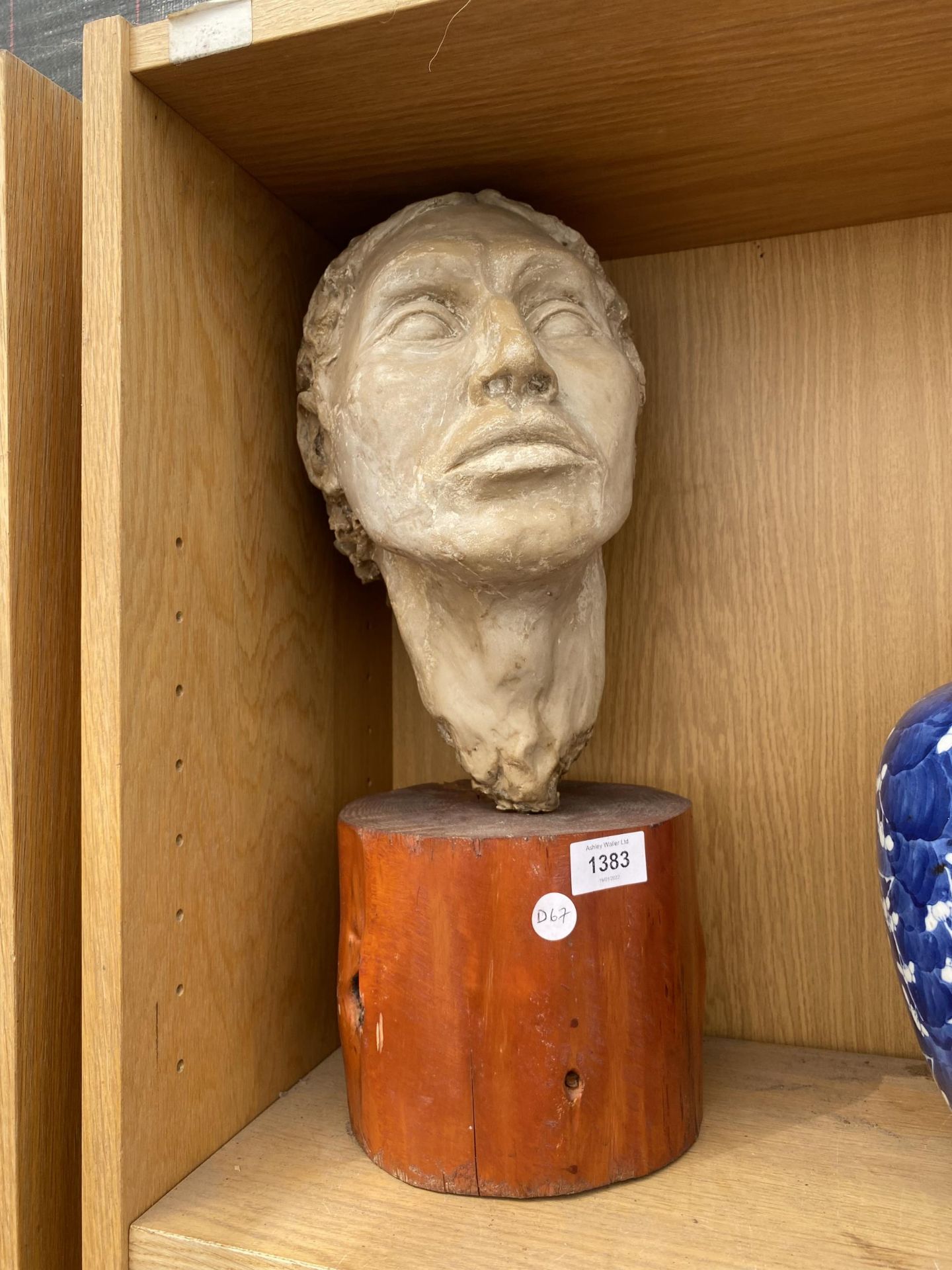 A RESIN MALE BUST ON A WOODEN PLINTH BASE