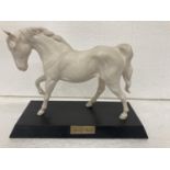 A BESWICK "SPIRIT OF FREEDOM" WHITE MATT HORSE FIGURE ON WOODEN PLINTH - LEFT EAR HAS BEEN GLUED -