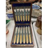 A MAHOGANY CASED VINTAGE SET OF FISH KNIVES AND FORKS