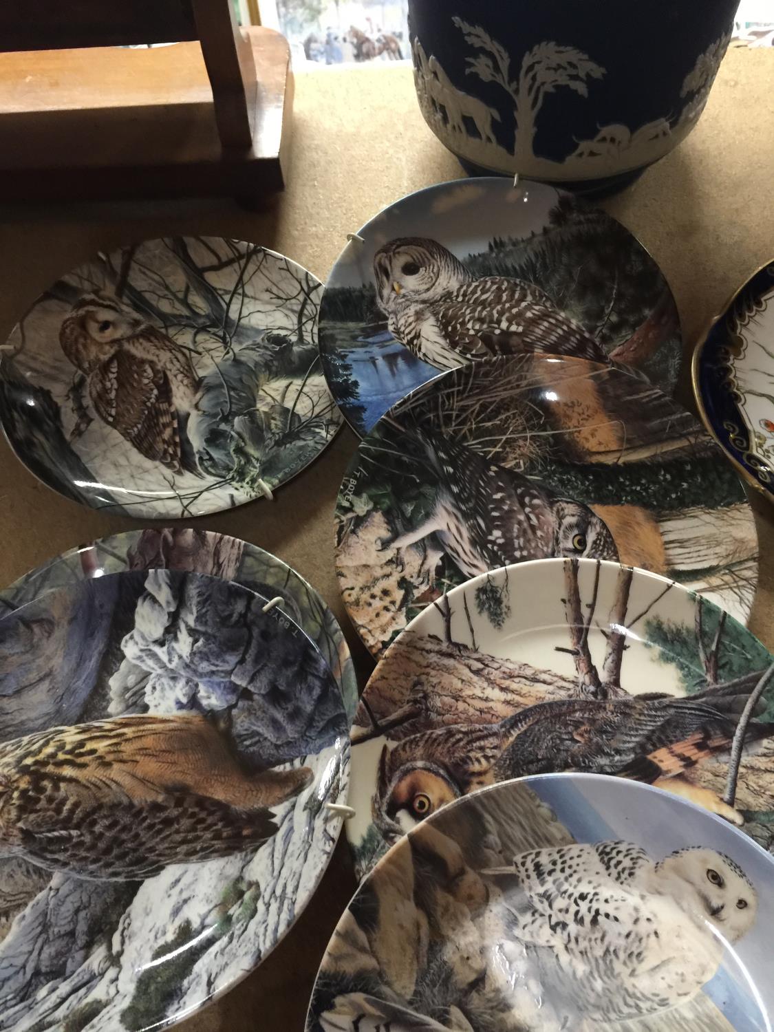 A COLLECTION OF OWL PLATES BY DANBURY MINT NAMED THE "THE MAJESTY OF OWLS" TO INCLUDE LITTLE OWL, - Image 3 of 4