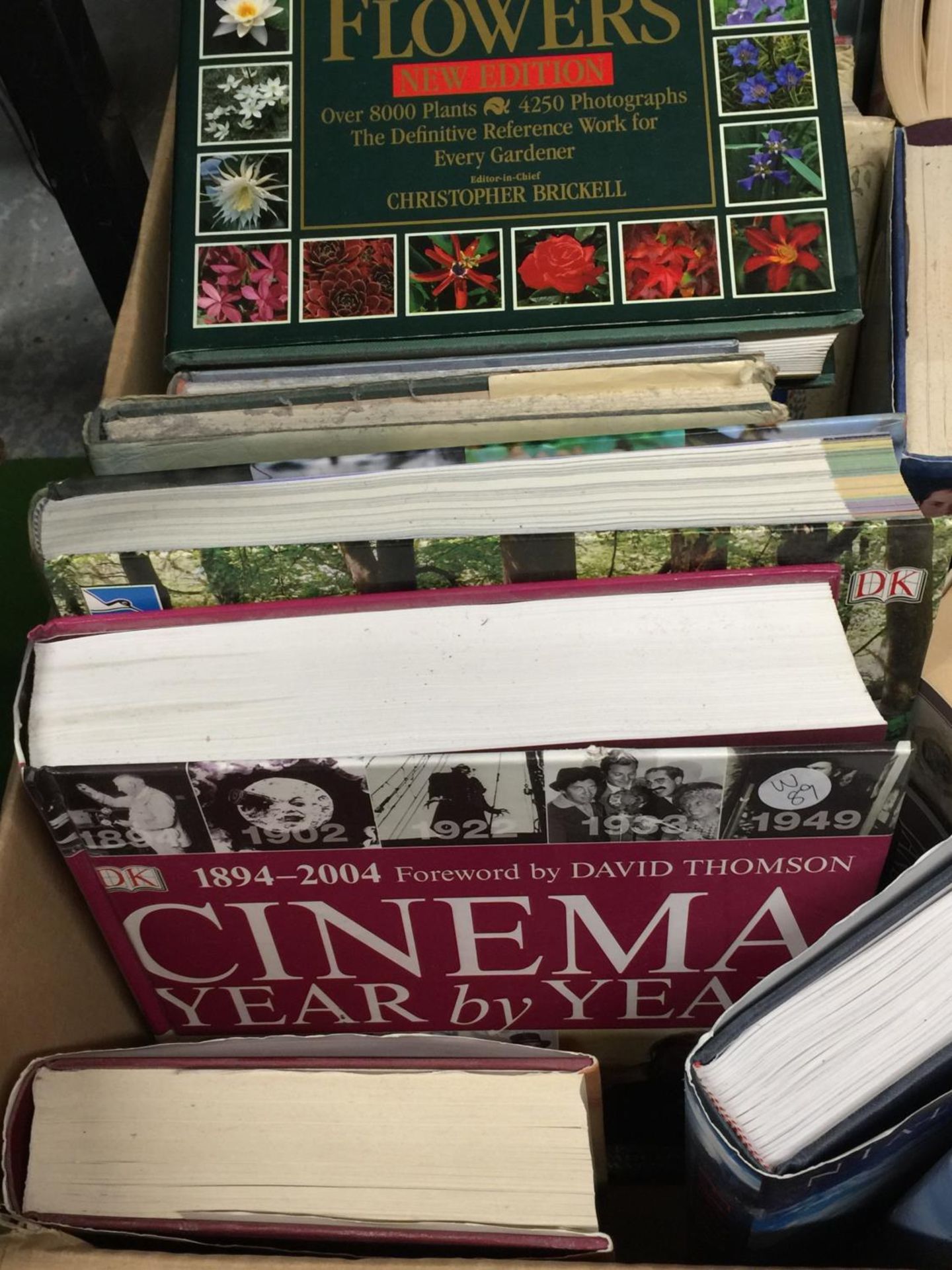 A BOX OF VARIOUS MAINLY HARDBACK BOOKS TO INCLUDE CINEMA YEAR BY YEAR 1894 - 2004, WILDLIFE OF - Image 3 of 4