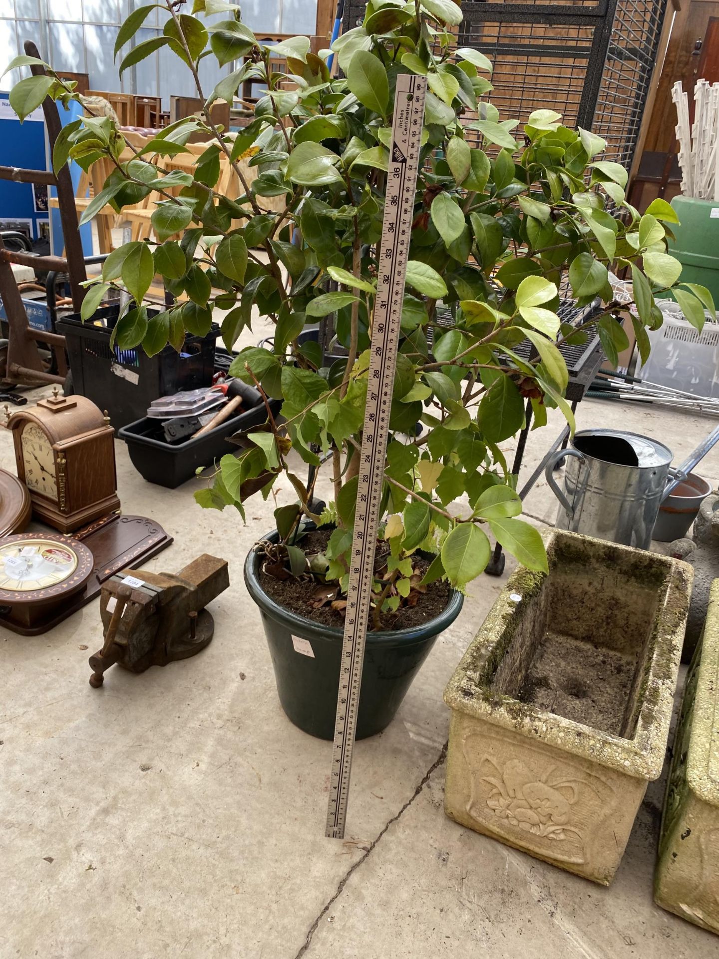 A NEAR PAIR OF RECONSTITUTED STONE PLANTERS AND A GLAZED PLANT POT - Image 6 of 6