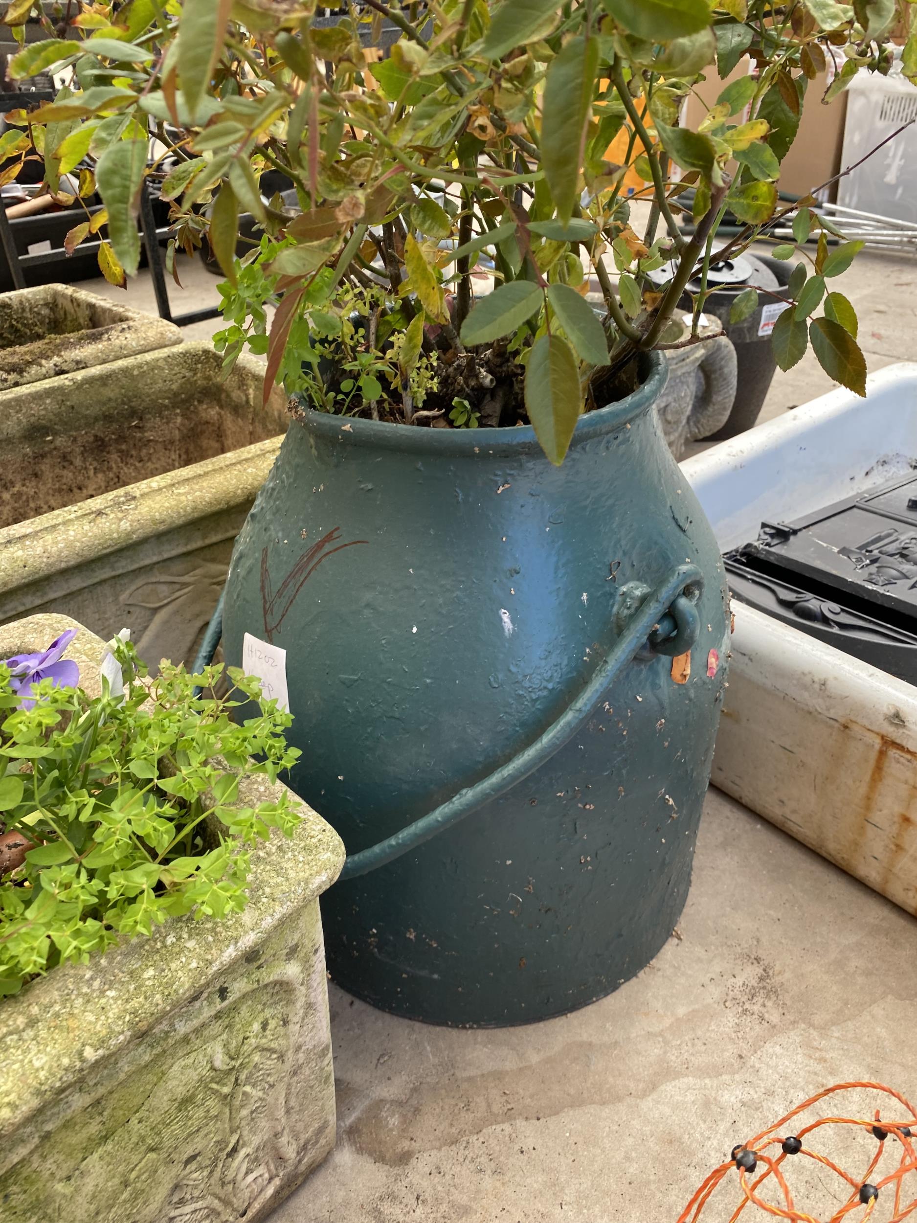 A RECONSTITUTED STONE PLANTER AND A MILKING BUCKET PLANTER - Image 3 of 5