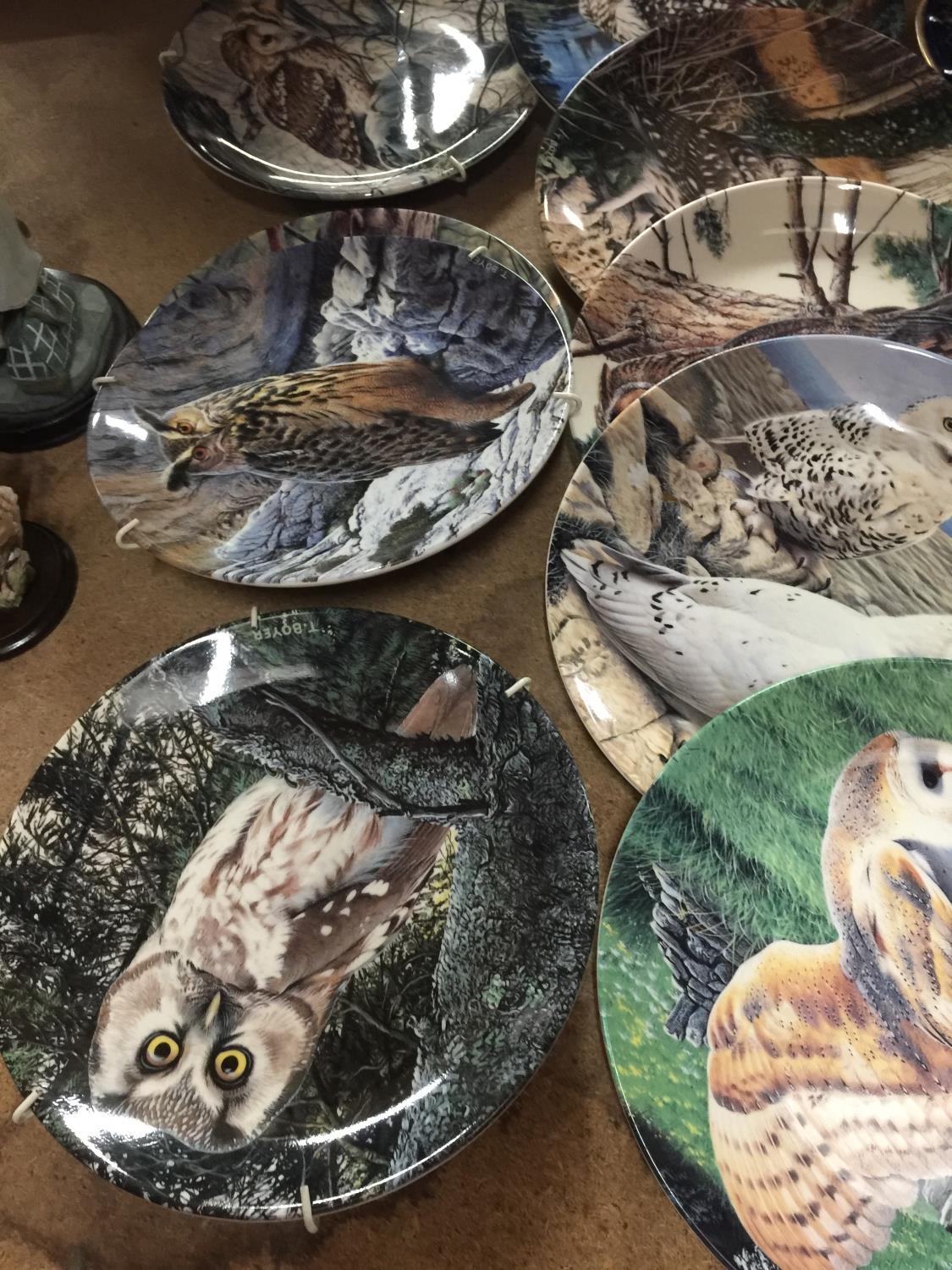 A COLLECTION OF OWL PLATES BY DANBURY MINT NAMED THE "THE MAJESTY OF OWLS" TO INCLUDE LITTLE OWL, - Image 4 of 4