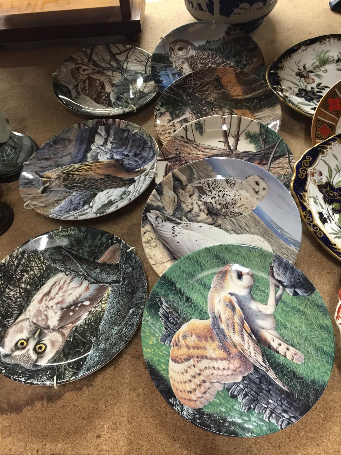 A COLLECTION OF OWL PLATES BY DANBURY MINT NAMED THE "THE MAJESTY OF OWLS" TO INCLUDE LITTLE OWL,