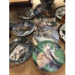 A COLLECTION OF OWL PLATES BY DANBURY MINT NAMED THE "THE MAJESTY OF OWLS" TO INCLUDE LITTLE OWL,
