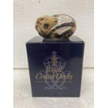 A BOXED ROYAL CROWN DERBY COUNTRY MOUSE WITH GOLD STOPPER