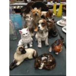 A QUANTITY OF CERAMIC CATS AND DOGS INCLUDING A LARGE SPANIEL AND YORKSHIRE TERRIER